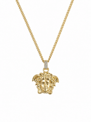Lant Medusa Head