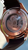 CEAS SEIKO AQUANAUT - MAROON